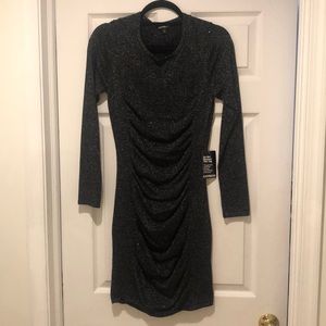 Express long sleeve dress